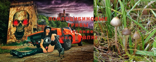 стаф Семёнов